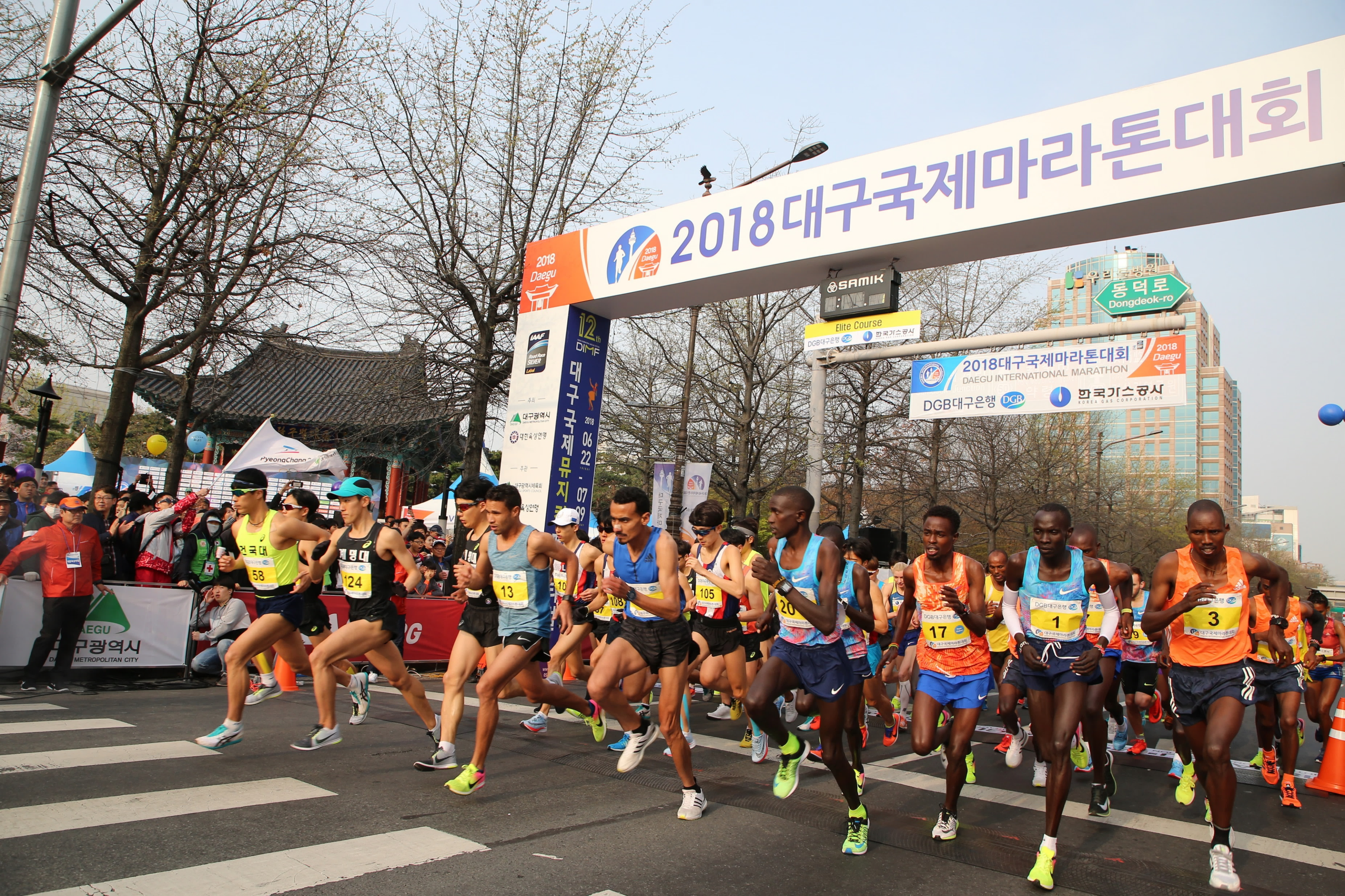 [180401] 2018 대구 국제 마라톤 대회